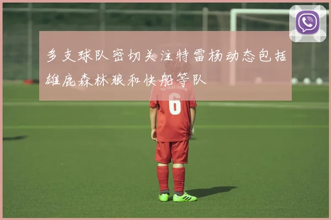 多支球队密切关注特雷杨动态包括雄鹿森林狼和快船等队