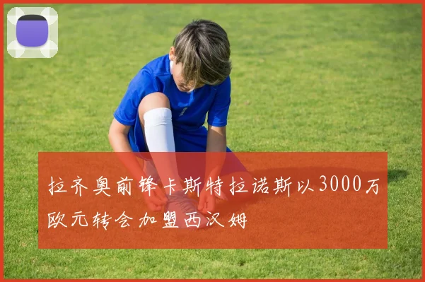 拉齐奥前锋卡斯特拉诺斯以3000万欧元转会加盟西汉姆